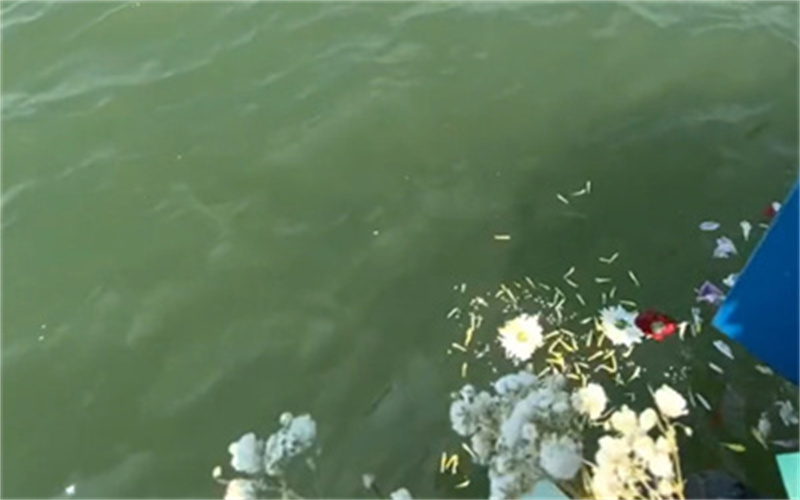 天津滨海新区公益海葬案例｜家属陪伴丈夫纪念仪式