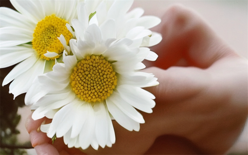 天津公益海葬海上追思外公-3