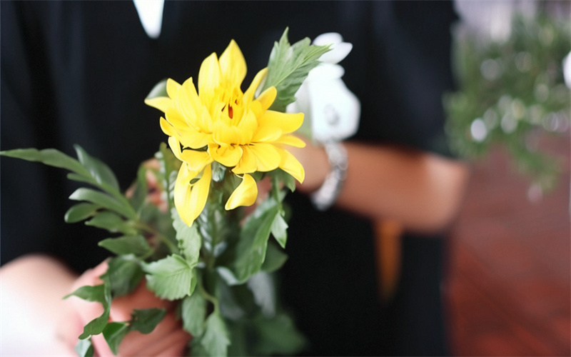 天津南疆码头公益海葬现场｜亲人温情告别场面温馨