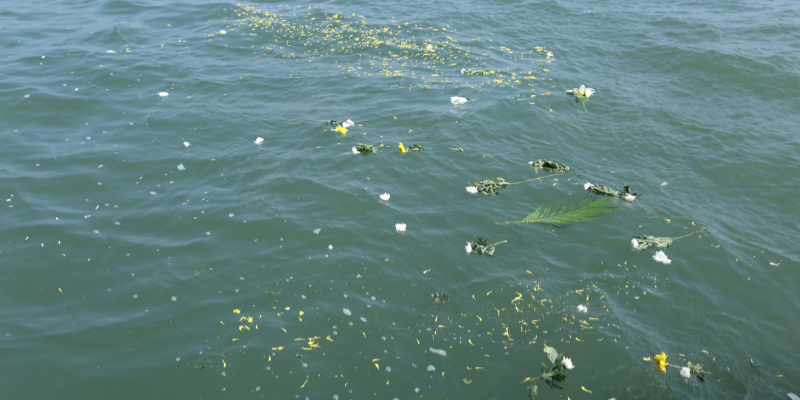 默认标题__2025-10-31+15_53_23