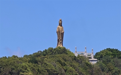 想了解天津集体海葬时间？一文看懂办理流程与价格